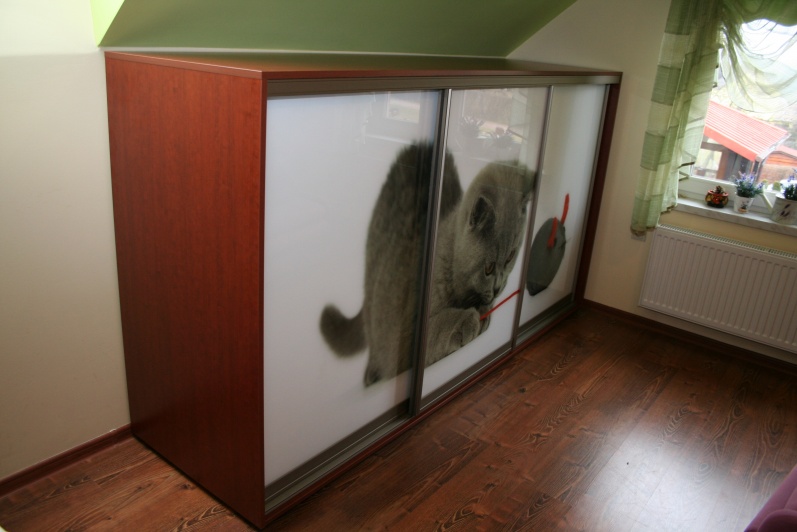 Niższa szafa z grafiką 5