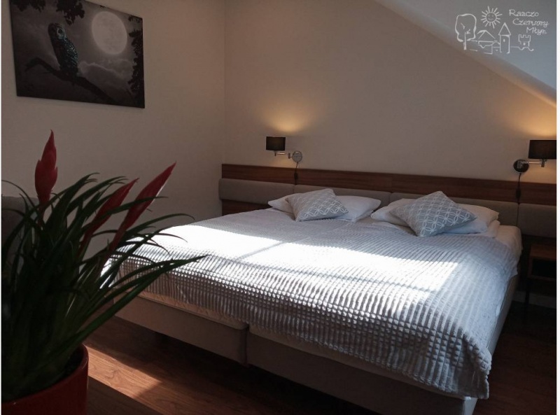 Ranczo Czerwony Młyn, Zdów